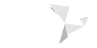 bKash logo